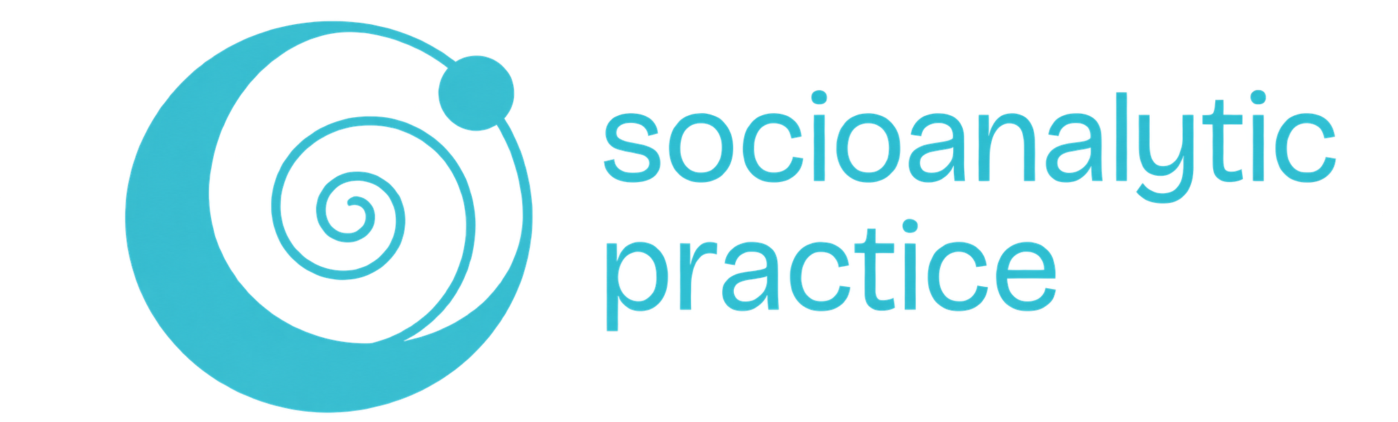 Socioanalytic Practice